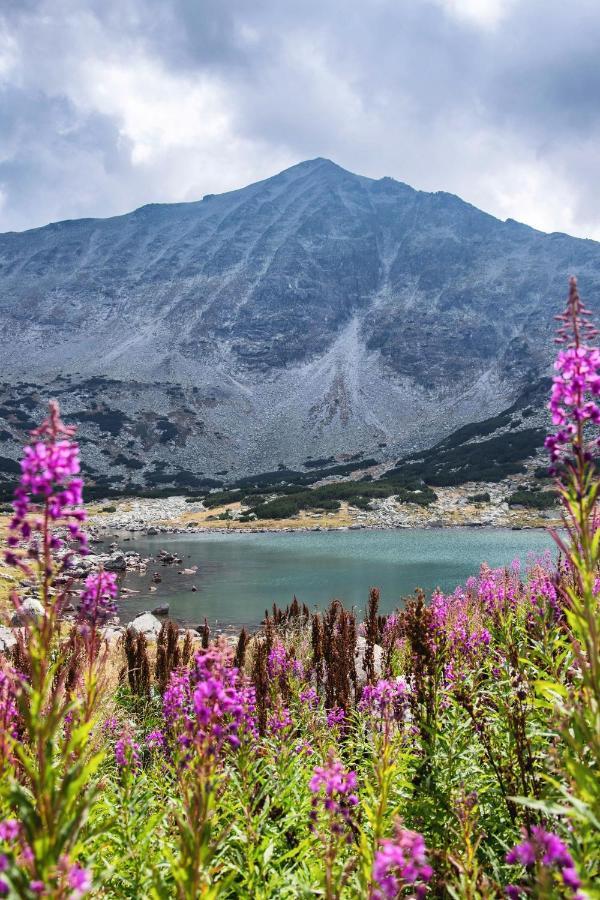 Borovets Gardens B30 Morunov Apart Ngoại thất bức ảnh